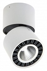 MN_C0085