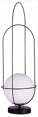 SL1189