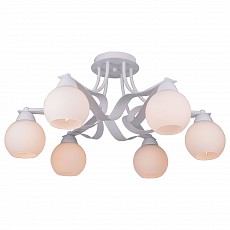 TPL_TL7330X-06WH