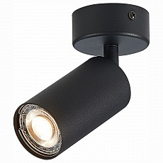 ST303