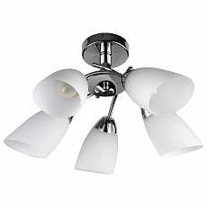 TPL_TL3600X-05CH