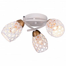 TPL_TL3810X-03WH