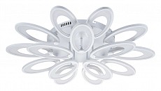 ESC_10229_SG_LED