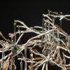 LF_10067_1500_SG