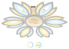 AMBR_FA456