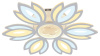 AMBR_FA456
