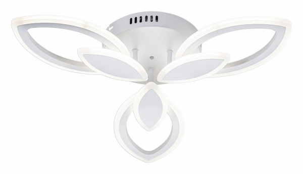 ESC_10287_3LED
