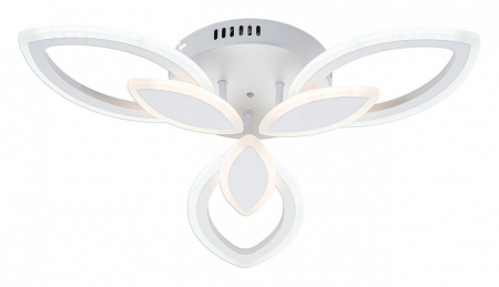 ESC_10287_3LED