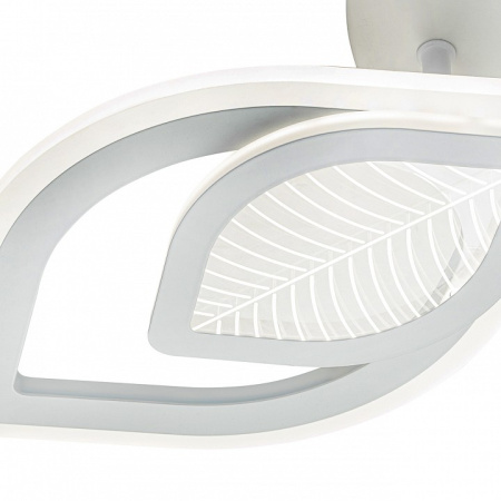 ESC_10288_6LED