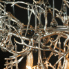 LF_10067_1500_SG