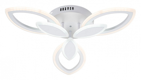 ESC_10287_3LED