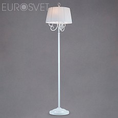 EV_81606