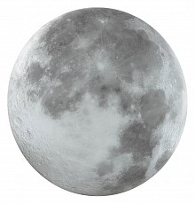 SN_3084_DL