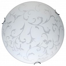 TPL_TL9530Y-00WH