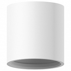AMBR_C7531