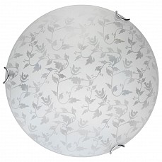 TPL_TL9281Y-00WH