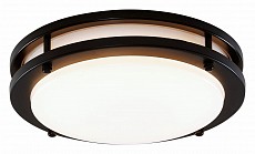 CL709205N