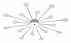 ESC_2109_16_Chrome