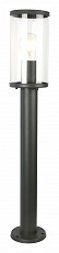 FV_3038-1T