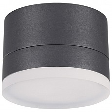 NV_358084