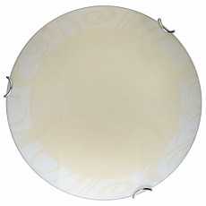 TPL_TL9620Y-00WH
