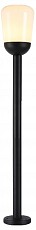 AMBR_ST2095