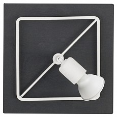 NVD_9725