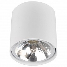 ZUMA_50631