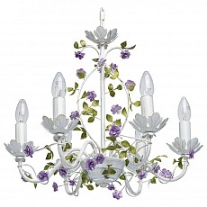 MW_421014406