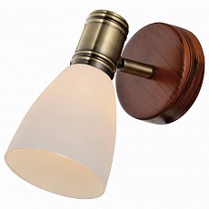 TPL_TL3720Y-01BB