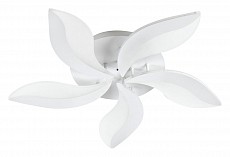 ESC_10214_SG_60W