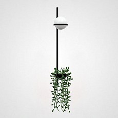 IMPR_168496-22