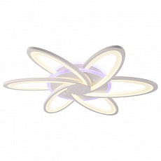 AMBR_FA541