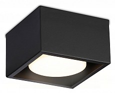 AMBR_TN70827