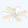 LT_Miracoli_201