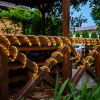 UL_UL-00008572