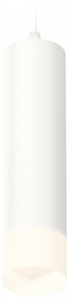 AMBR_XP6355005