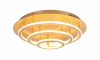 GB_49252-100G