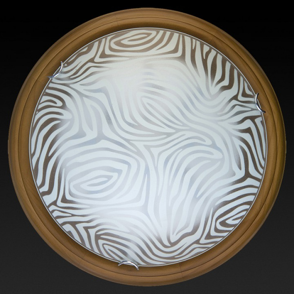 TPL_TL9260Y-00OA