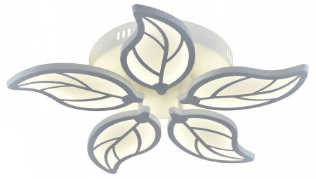 ESC_10214_5LED