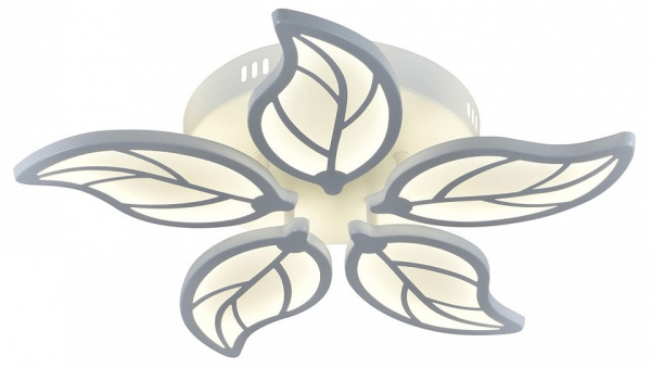 ESC_10214_5LED