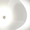 OD_4856_5WL