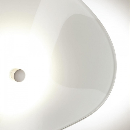 OD_4856_5WL
