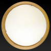 TPL_TL9640Y-00OA