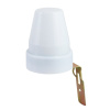 ELK_a030064