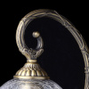 MW_481021901