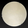 TPL_TL9641Y-00WH