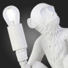 EVO_SLE115104-01