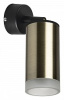LS_RB431430