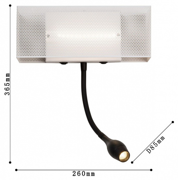 FV_4066-2W